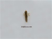 藏品(雙帶長苔蛾)的圖片